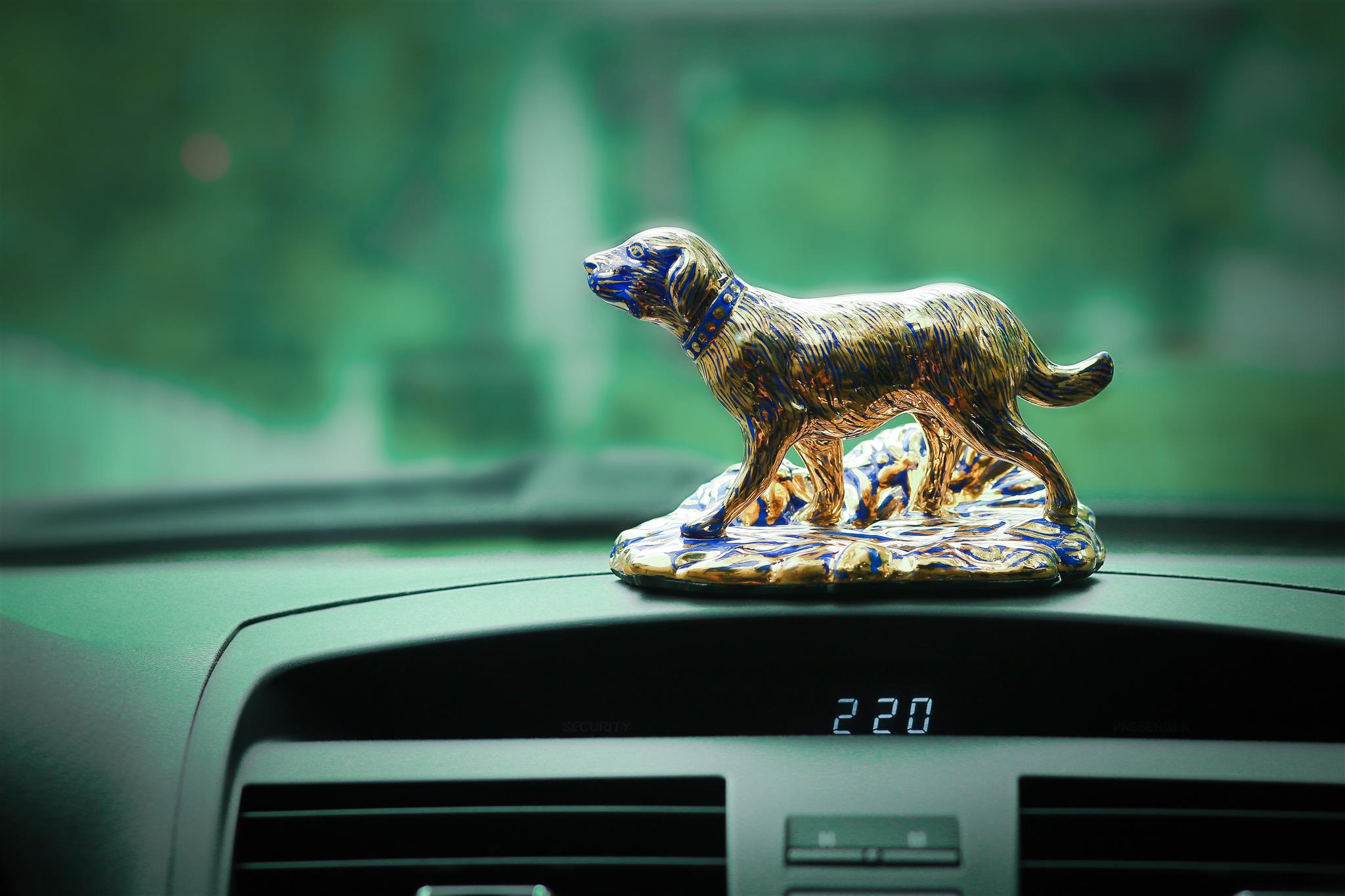 Khóa học cho người tuổi Tuất