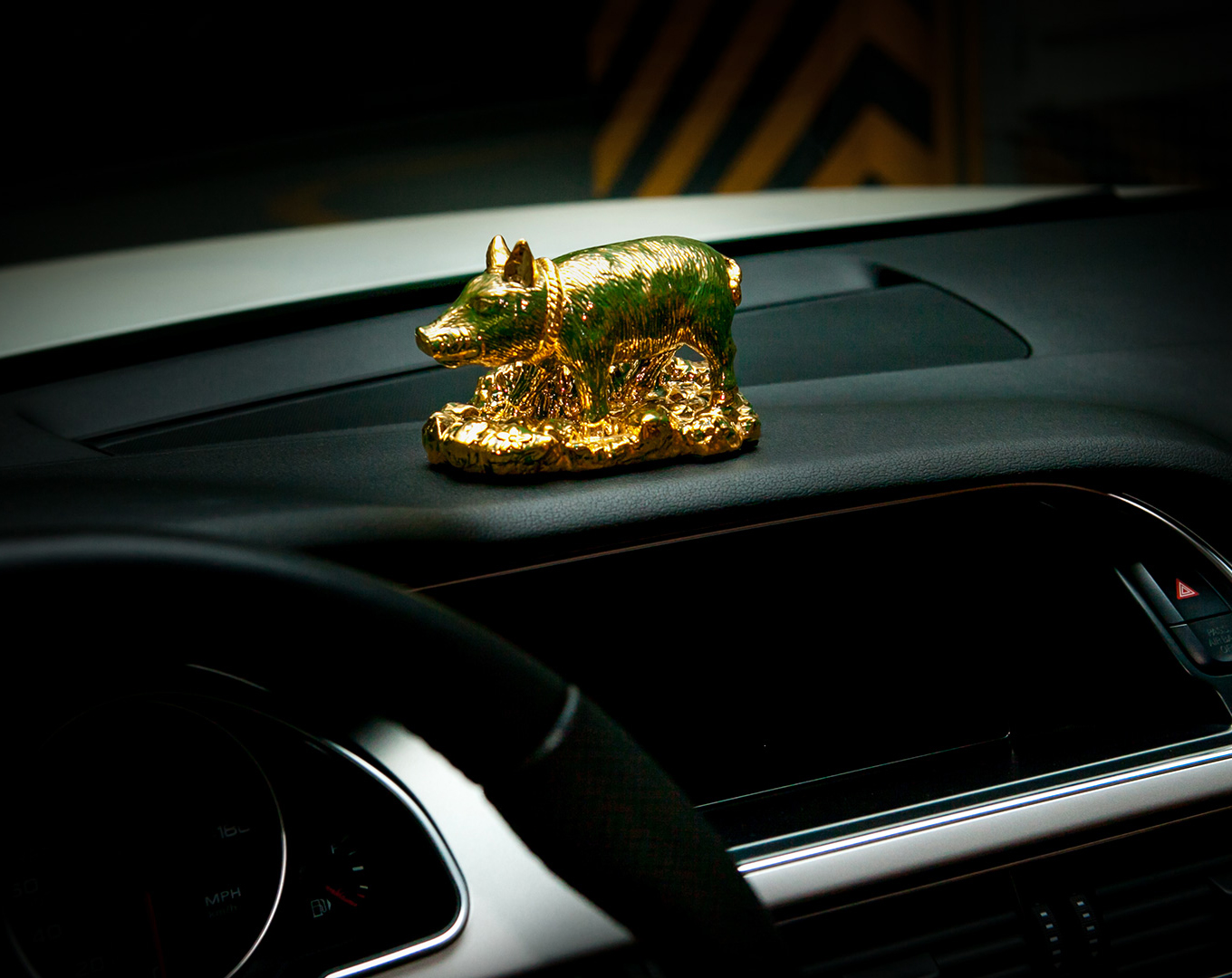 Khóa học cho người tuổi Hợi