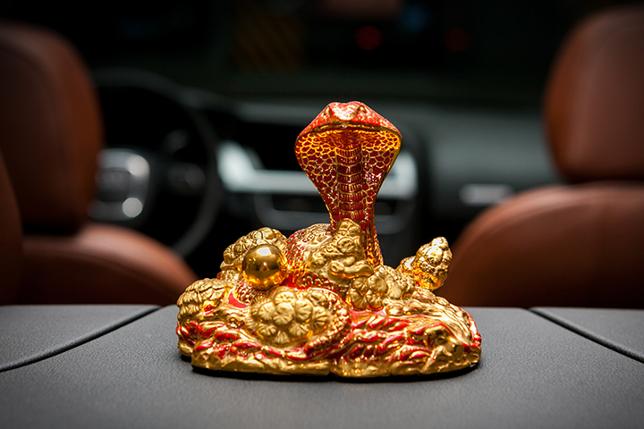 Khóa học cho người tuổi Tỵ