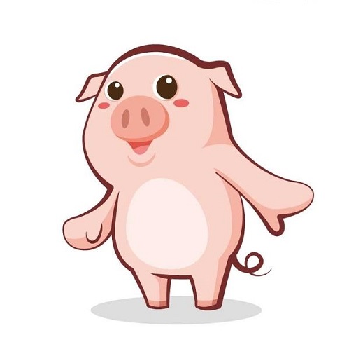 Vận hạn người tuổi Hợi năm 2020