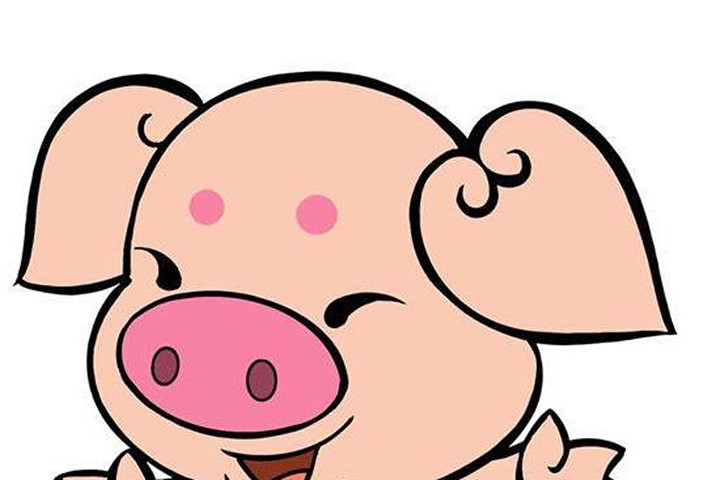 Đầu năm Heo nói chuyện Hợi